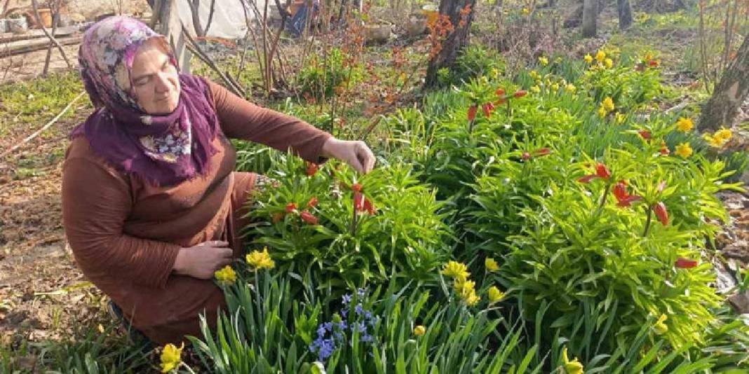 ‘Ağlayan Gelin’ güzelliğiyle büyülüyor: Göz alıcı şölen bir mahallede başladı 1